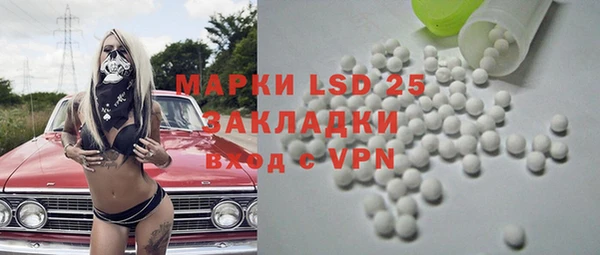 винт Верея